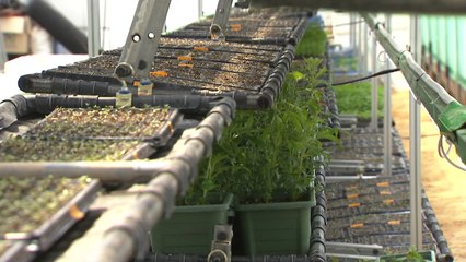 회전형 다단식 재배장치 첫선...작물 생산성 4배 증가 / YTN