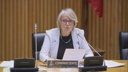 Comparecencia de Gabriela Cañas en el Congreso