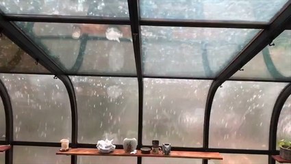 Heavy hail pours down on home