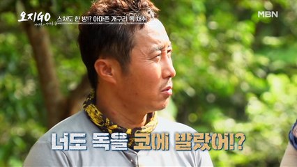 아마존 개구리, 변비 탈출에 효과적으로 밝혀져