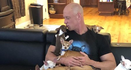 Cet homme a recueilli des dizaines de chihuahuas chez lui