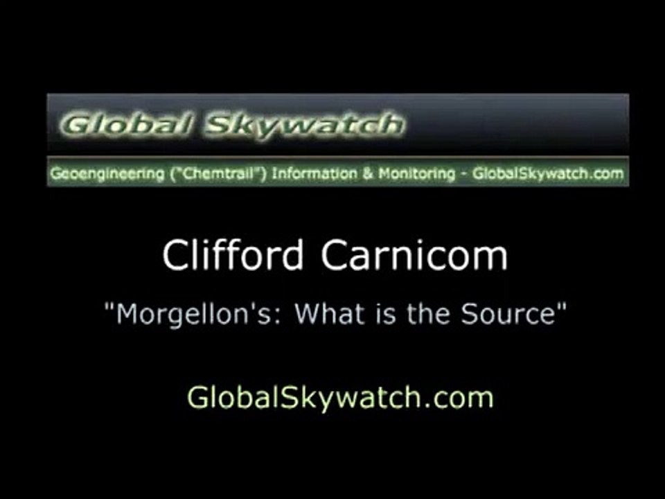 Morgellons - What is the Source?_Part_1