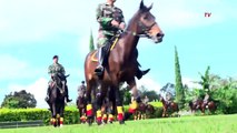 Detasemen Kavaleri Berkuda, Kuda Tempur Angkatan Darat - CERITA MILITER (Bag2)