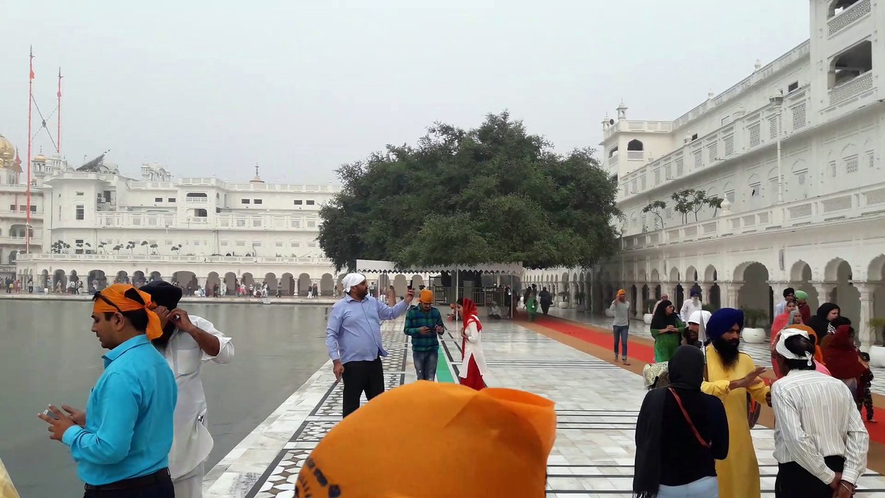 Golden Temple Of Amritsar, Punjab, India. What A Beauty.