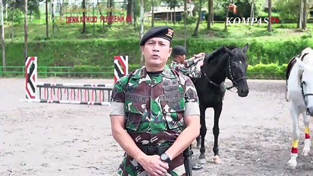 Detasemen Kavaleri Berkuda, Kuda Tempur Angkatan Darat - CERITA MILITER (Bag3)