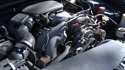 Watch your engine; nesting animals may be there