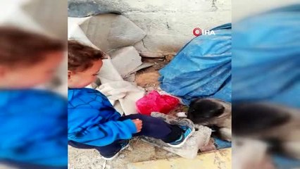 1 buçuk yaşındaki çocuk ile yavru köpeğin dostluğu yürekleri ısıttı