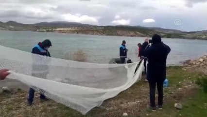 Altınapa Baraj Gölü'ne ABD'li tarafından bırakılan Japon balıkları bulunamadı