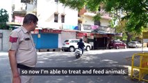 Coronavirus- Treating Delhi's dogs and cats in the pandemic - BBC News