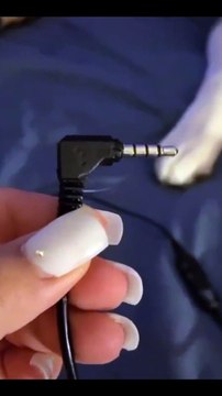 Qui a mangé mes écouteurs ?