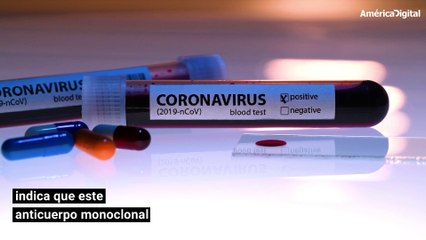Descubren anticuerpos completamente humanos que bloquean infección del COVID-19 en las células