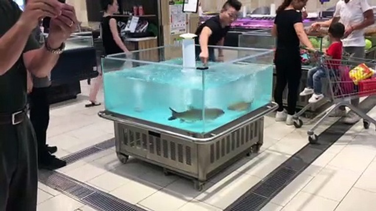 Un poisson saute dans le caddie d'un client... Pressé d'être mangé