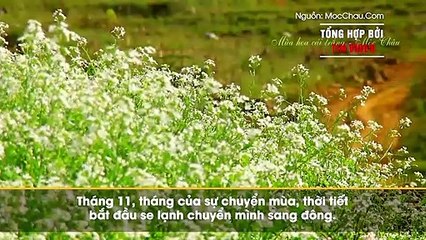 Khoác ba lô lên vai và đến những vùng đất đẹp nhất khi trời đông vào độ tháng 11