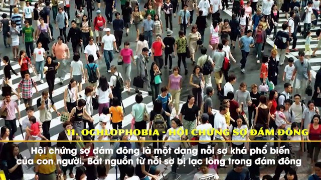 Giải Mã Nỗi Sợ: Săm soi 13 nỗi sợ phổ biến nhất mà chính bạn cũng có thể đang mắc phải (PHẦN 2)