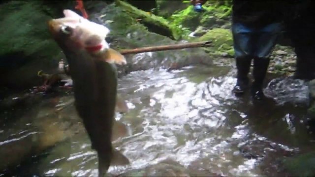 PESCA DE TRUCHAS EN LA SIERRA ECUATORIANA