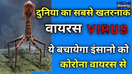 What is Bectiriophage | बैक्टीरियोफेज क्या है | bectiriophage | the science news hindi