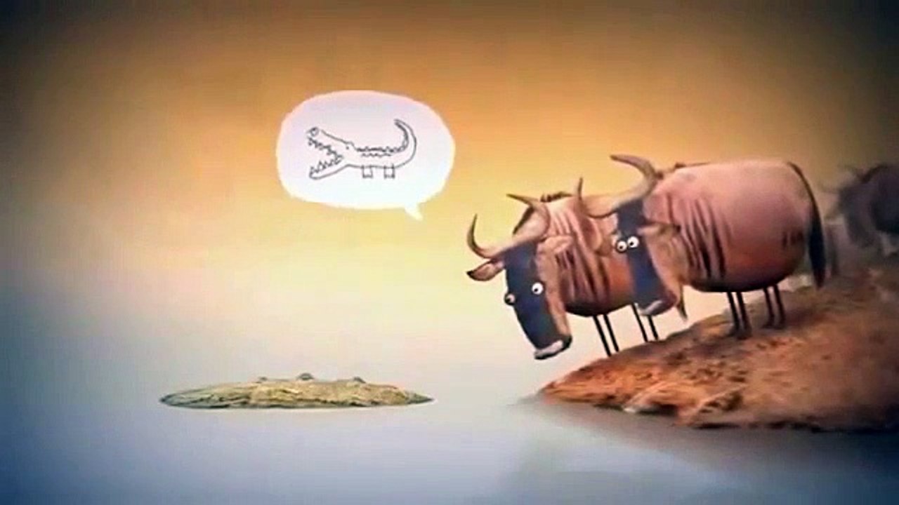 Amazing Video