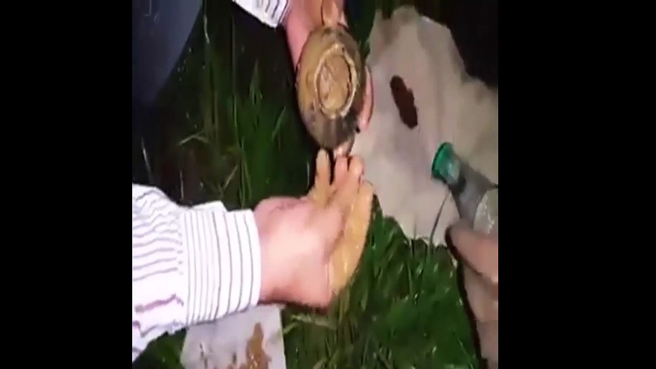 Gerçek Define Bulma Anı