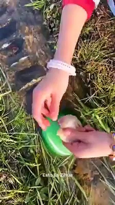 Bakın inciler Nerden cıkıyormuş