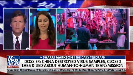 Tucker Carlson Tonight 5-4-2020  Fullshow - Breaking News Trump May 4, 2020