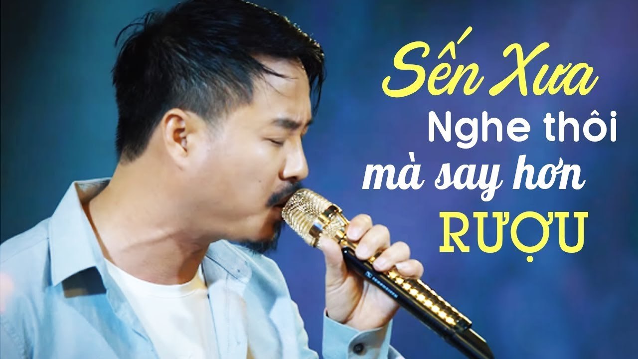 Đời lắm trái ngang..Sến Xưa Say Hơn Rượu - Nhạc Vàng Xưa Buồn Cực Thấm