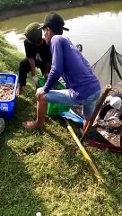 Panen Udang Vaname di Sindangbarang Cianjur part 4