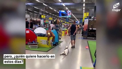 Este perro también se rindió a la pereza en cuarentena