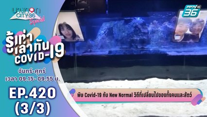บางกอก City เลขที่ 36 | New Normal วิถีที่เปลี่ยนไปของทั้งคน และสัตว์ | 5 พ.ค. 63 (3/3)