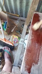 Manfaat Pernis bagi kayu