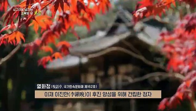 [UHD 다큐 풍경] 싱그러움 넘치는 초록빛 땅…보성