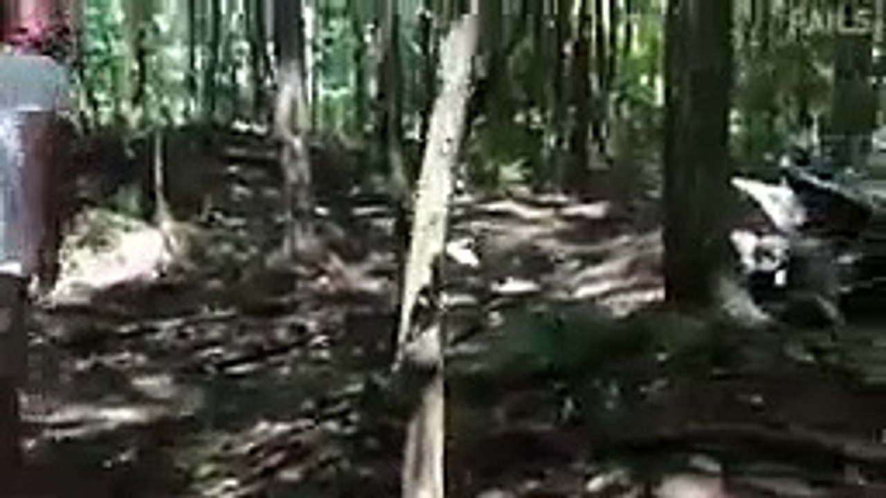 FUNNY VIDEO 2020