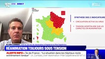 Coronavirus: le Pr Alain Combes estime que l'Ile-de-France restera encore 
