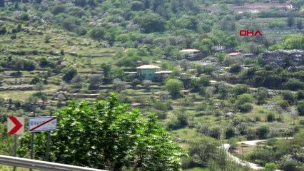 MUĞLA Marmaris'te, Osmanlı'da da kullanılan kantaron yağına büyük ilgi