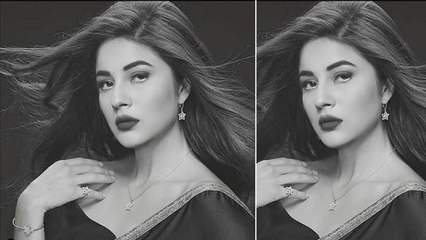 Shehnaz Gill का देसी लुक देख फैन्स के उड़े होश; Check out here | FilmiBeat