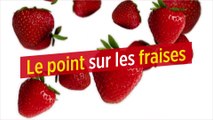 Le point sur les fraises