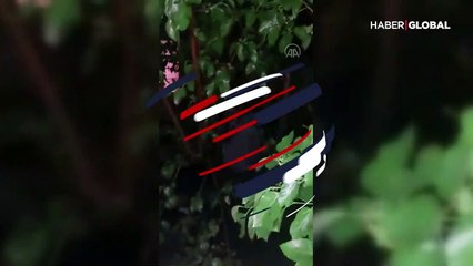 Kumar baskınında yakalanmamak için ağaca çıktı