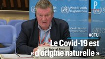 Coronavirus : l'origine du Covid-19 est «naturelle» affirme l'OMS