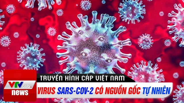 Virus Sars-Cov-2 có nguồn gốc tự nhiên Tin tức dịch bệnh corona thế giới ngày 4/5