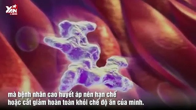 Thực Dưỡng: Những loại thực phẩm gây cao huyết áp