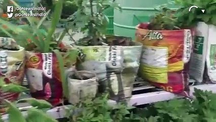 इस महिला ने अपने घर के कबाड़ से बनाया टैरेस गार्डन, फूलों के साथ सब्जियां भी उगाई