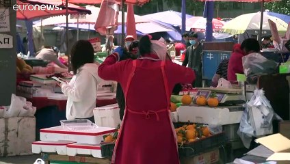 WHO vs USA: Keine Belege für "menschengemachtes" Coronavirus