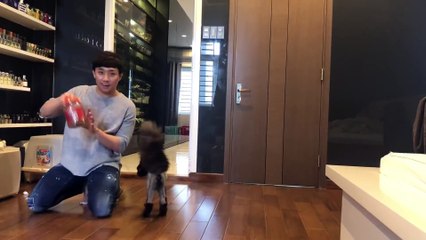 Chú mèo 3.000 đô chơi đùa vui vẻ với Trấn Thành