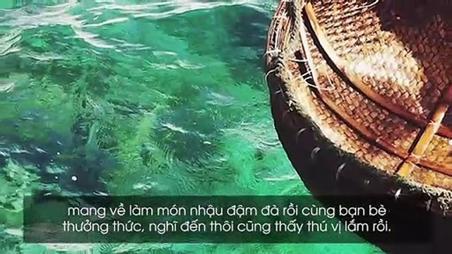Ghi ngay vào sổ tay những địa điểm hay ho cho chuyến du lịch Quy Nhơn càng thêm phần thú vị