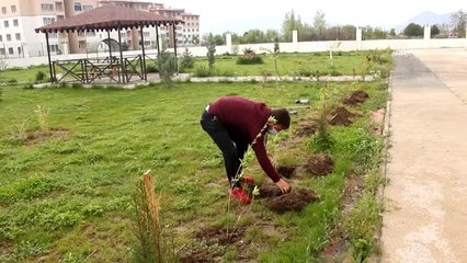 Yurt yetkilileri yurtta kalan misafirler adına 173 sarıçam dikti