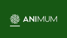 Animum