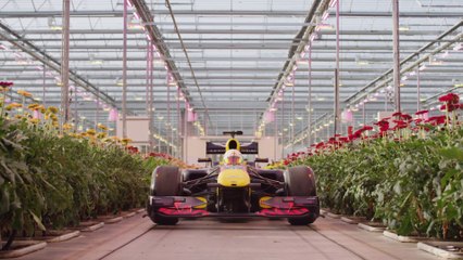Le road trip insolite des pilotes Red Bull Racing
