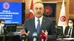Dışişleri Bakanı Çavuşoğlu, Yurt Dışından Türkiye'ye Getirilen Vatandaşların Sayısını Açıkladı