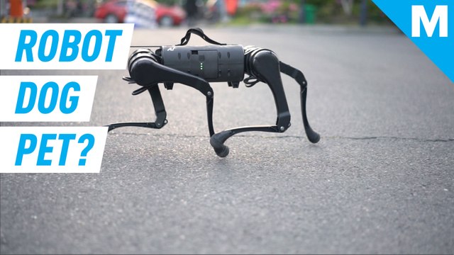 This Boston Dynamics lookalike robot dog just wants to be our pet