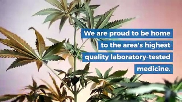 Cannabis | budbudbeyond.com | +1 949-205-8044