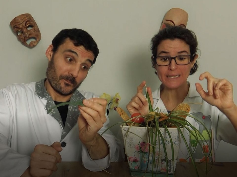 Clowntifics: ¿qué es la fotosíntesis?